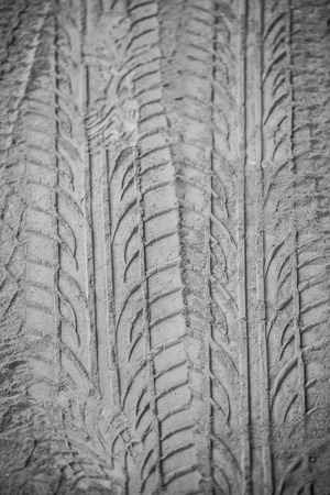 Marks of wheels that run on the sand の写真素材
