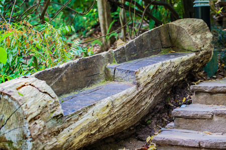 Chair carved from a treeの写真素材