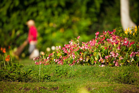 flower gardenの写真素材