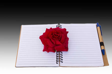 Rose over note bookの写真素材