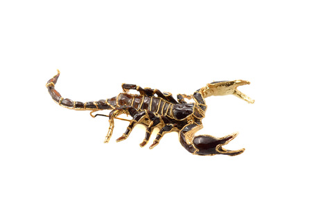 Emperor Scorpion ( Pandinus imperator) on white background.の写真素材