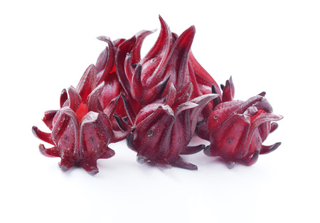 Roselle fruits on white background.の写真素材