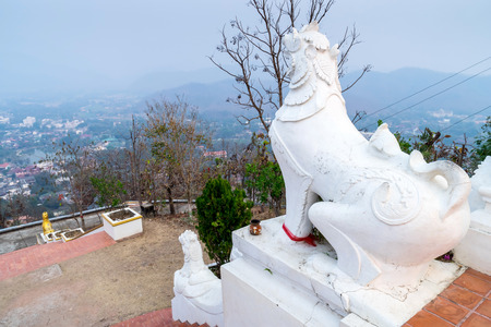 White Thai art lions at entrance of Wat Phra That Doi Gongmu with view of Maehongson city in evening periodの写真素材