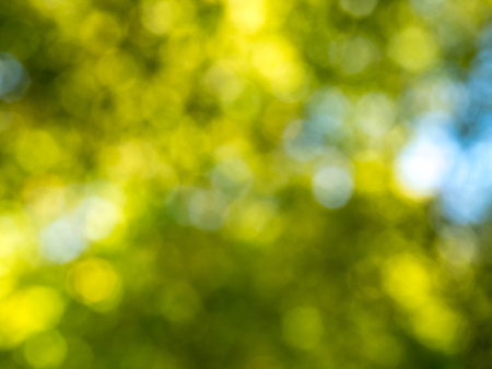 Out of focus bokeh in green color under natural lightの写真素材