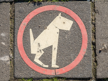 Funny sign on outdoor floor, allow for pet walkingの写真素材