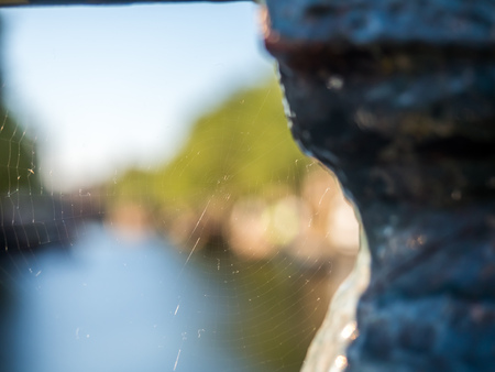 Spider web with blurring background under natural lightの写真素材