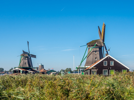 Historic classic windmills in Zaan Schans under blue sky, Netherlandsの写真素材