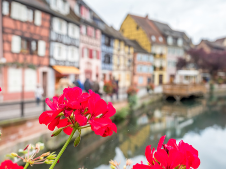COLMAR - OCTOBER 9: Unique peaceful town and buildings in Colmar, known as little Venice, with colorful flowers along canal under cloudy sky in France, on October 9, 2016.のeditorial素材