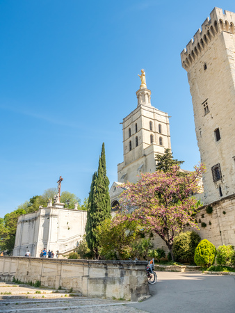 Avignon cathedral (Cathedral of Our Lady of Doms) next to Papal palace (Palais des Papes)  under clear blue sky in Avignon, Franceのeditorial素材