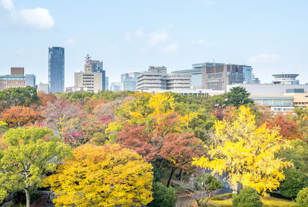 OSAKA, JAPAN - OCTOBER 23 : Colorful autumn trees in outdoor park near Osaka castle in Osaka, Japan, on October 23, 2017.のeditorial素材