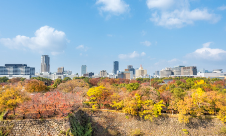 OSAKA, JAPAN - OCTOBER 23 : Colorful autumn trees in outdoor park near Osaka castle in Osaka, Japan, on October 23, 2017.のeditorial素材