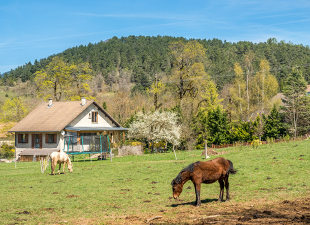 Small farm and horse in Chichilianne, small countryside town in Franceのeditorial素材
