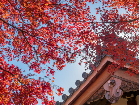 Front facade of Japanese style building in Kyoto, Japanの写真素材