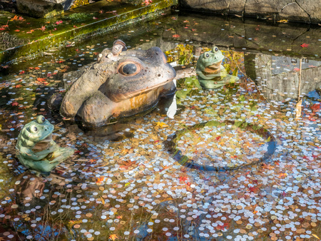 Small swamp with toad sculpture in Japanese temple, with a lots of coins in waterの写真素材