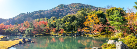 Panoramic view of colorful leaves and trees in autumn season surrounded small swamp with Japanese style zen park under clear blue sky in Kyoto, Japanの写真素材