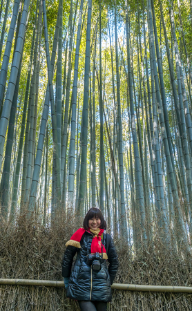KYOTO, JAPAN - OCTOBER 24 : Bamboo forest, landmark of tourists, in Arashiyama region in Kyoto, Japan, on October 24, 2017.のeditorial素材