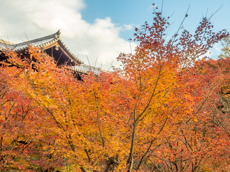 Front facade of Japanese style building in Kyoto, Japanの写真素材