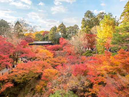 KYOTO, JAPAN - NOVEMBER 24 : Colorful leaves on tree in autumn season with roof of Japanese style pavilion under cloudy blue sky in Kyoto, Japan, was taken on November 24, 2017.のeditorial素材