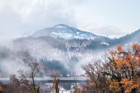 Leafless tree on mountain in Shirakawa village with snow in early winter season in Gifu, Japanの写真素材