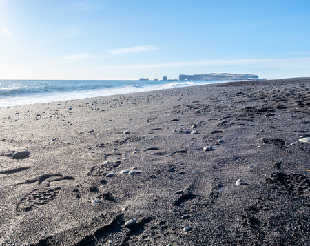 Reynisfjara black sand beach is landmark of Vik town in Iceland, fine black sand with small stones on beach with mountain and islands in background, under blue sky in winter seasonの写真素材