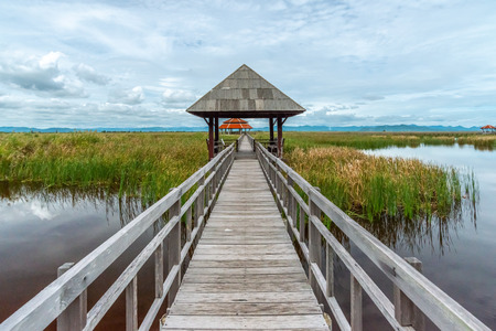 Lotus pond with small pavilion and wooden bridge under cloudy skyの写真素材
