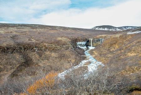 Svartifoss waterfall, one of unique landmark in Iceland, located in Vatnajokull national park, like oasis in black larva sand plain, water freeze in winter seasonの写真素材
