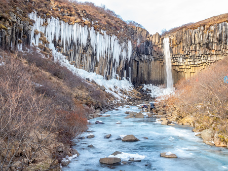 Svartifoss waterfall, one of unique landmark in Iceland, located in Vatnajokull national park, like oasis in black larva sand plain, water freeze in winter seasonの写真素材