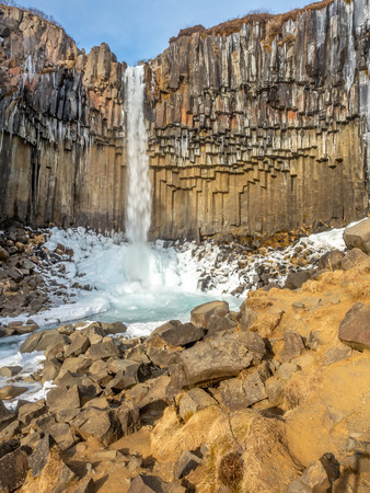 Svartifoss waterfall, one of unique landmark in Iceland, located in Vatnajokull national park, like oasis in black larva sand plain, water freeze in winter seasonの写真素材