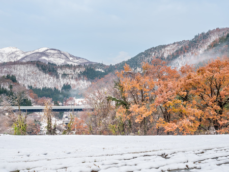 Leafless mountains near Shirakawa village,covered with snow in early winter season in Gifu, Japanの写真素材