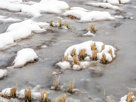 Post harvested rice in field covered with frozed water and snow in Shirakawa village, Gifu, Japan, in early winter seasonの写真素材