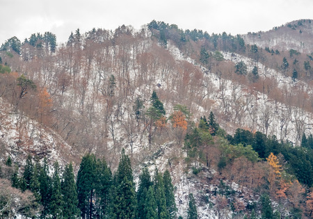 Leafless mountains near Shirakawa village, covered with snow in early winter season in Gifu, Japanの写真素材