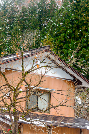 Unique classic Japanese house style with snow in early winter season in Shirakawa village in Gifu, Japanの写真素材