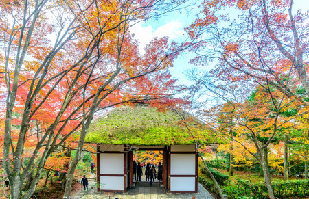 ARASHIYAMA, JAPAN - NOVEMBER 27 : Entrance pavilion in Jojakkoji temple surrounded with colorful leaves trees in Arashiyama, Japan, on November 27, 2017.のeditorial素材