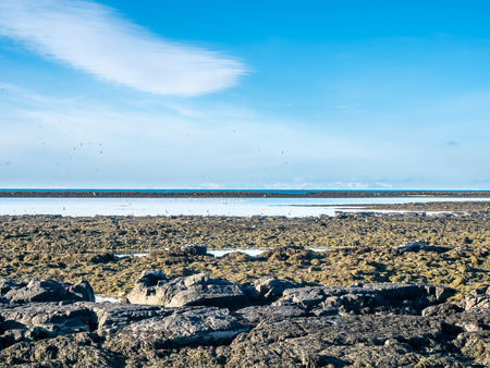 Large stones at Akranes peninsula near the lighthouses under blue sky, Icelandの写真素材