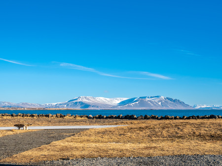 Mountains, field and seascape view in Akranes town near peninsula and lighthouses in wtiner season, Icelandの写真素材