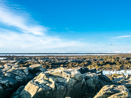 Large stones at Akranes peninsula near the lighthouses under blue sky, Icelandの写真素材