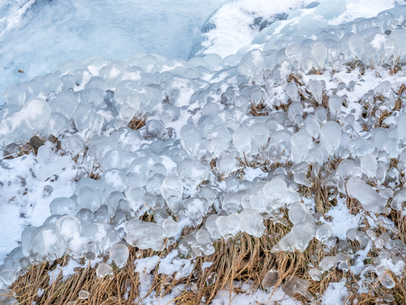 Dew over grass become crystal ice and snow in winter season of Iceland, for backgroundの写真素材