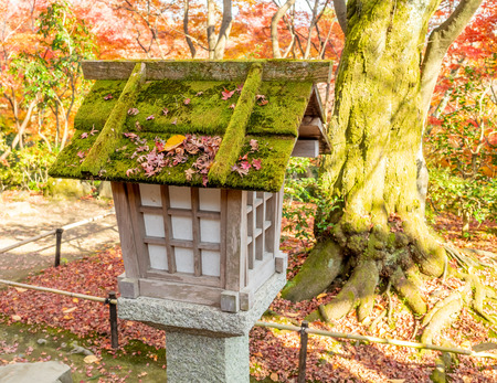 Wooden Japanese style lantern in outdoor garden with colorful autumn leaves treeのeditorial素材