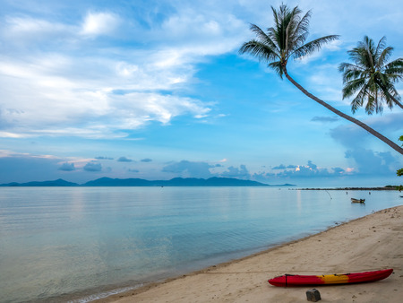 Coconut tree on sand beach with seascape view in Samui island, Thailand, summer seasonの写真素材