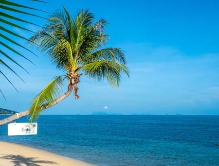 Coconut tree on sand beach with seascape view in Samui island, Thailand, summer season