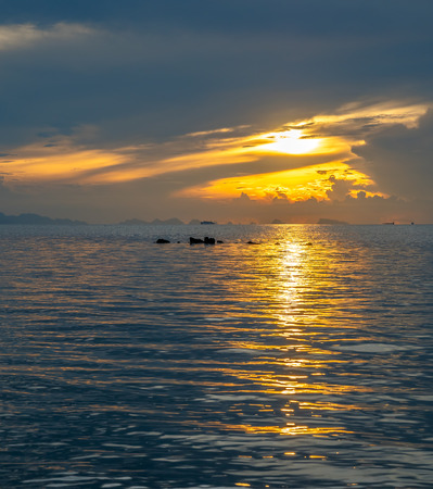 Seascape view under sunset cloudy blue sky in evening twilight time at Samui island, Thailandの写真素材