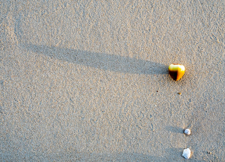 Sand with stone for background