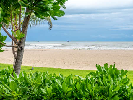 Seascape with beach tree under cloudy blue sky in Thailandの写真素材