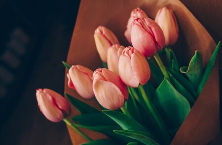 bunch of Pink and red white tulips bouquet of mixed flowers. Fresh spring Summer background