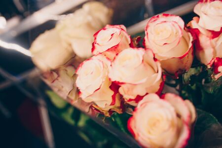 Bunch of Pink red white bouquet of mixed roses. Pattern Fresh spring Summer backgroundの写真素材