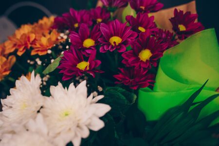 Bunch of Pink red white gerbera daisy bouquet of mixed flowers. Fresh spring Summer backgroundの写真素材