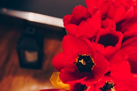 bunch of Pink and red white tulips bouquet of mixed flowers.  Fresh spring Summer backgroundの写真素材