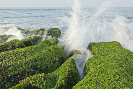 Stone Trench of Taiwan Laomei Coastの写真素材