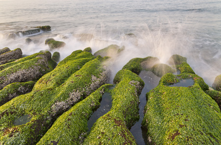 Stone Trench of Taiwan Laomei Coastの写真素材