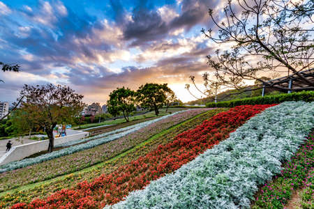 Scenery of colorful flower fields at San-Tseng-Chi Urban Park, in Beitou District, Taipei City,...